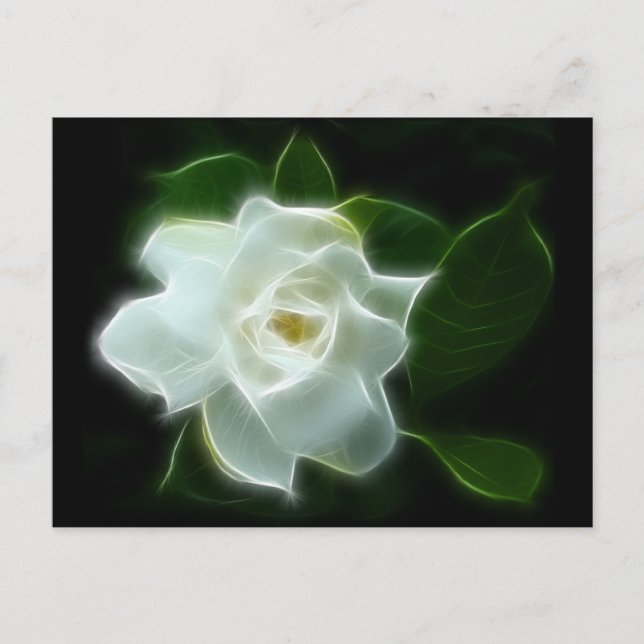 Postal Planta de Flores de Gardenia Blanca (Anverso)