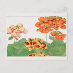 Postal Planta de Pocketbook por Tanigami Konan