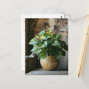 Postal Planta de Pothos en una silla