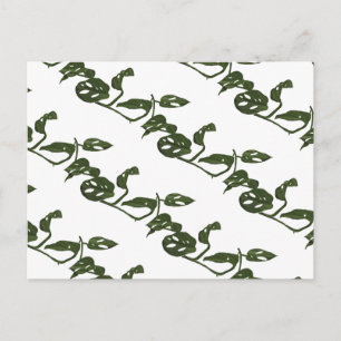 Postal Planta de queso Monstera Adanosii Patrón Verde