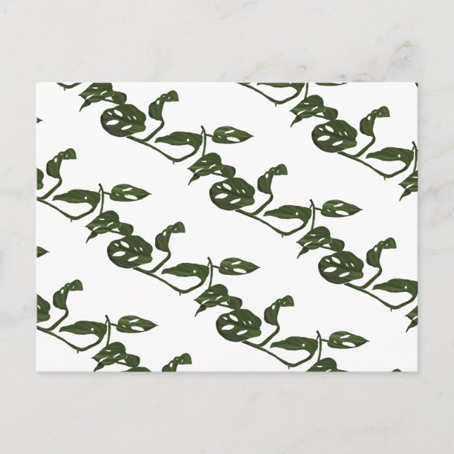 Postal Planta de queso Monstera Adanosii Patrón Verde (Anverso)