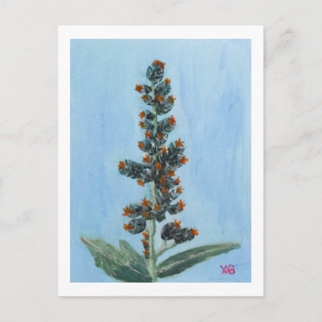 Postal Planta de Ricino (Anverso)