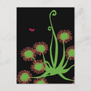 Postal Planta de Sundew Carnivorosa