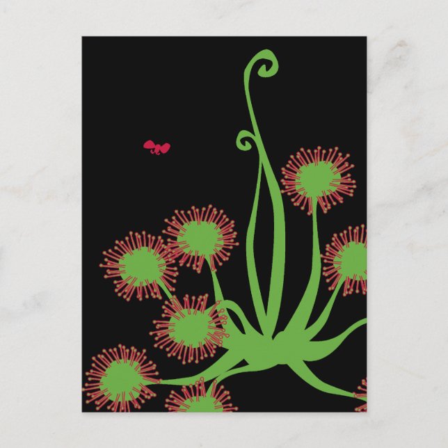 Postal Planta de Sundew Carnivorosa (Anverso)