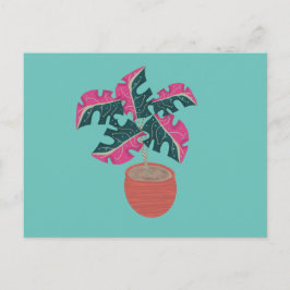 Postal Planta en maceta Monstera variegada rosa y verde