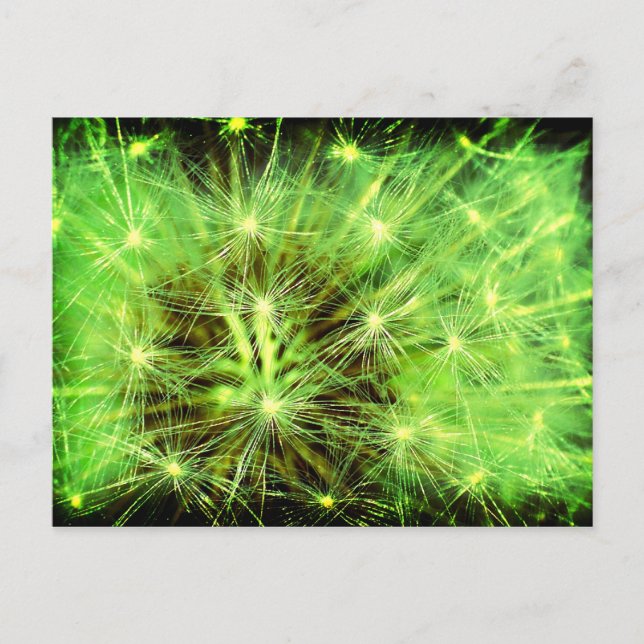 Postal Planta espacial - Dandelion cierra Lomo (Anverso)