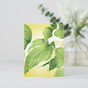 Postal Planta Ficus 4