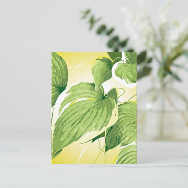 Postal Planta Ficus 4 (Anverso de pie)