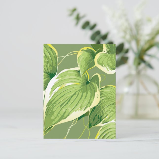 Postal Planta Ficus 5 (Anverso de pie)
