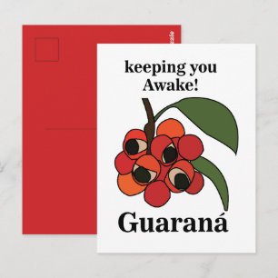 Postal Planta Frutal de Guarana Botánica
