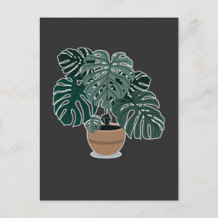 Postal Planta Monstera Hermosa Planta Familiar