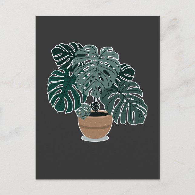 Postal Planta Monstera Hermosa Planta Familiar (Anverso)