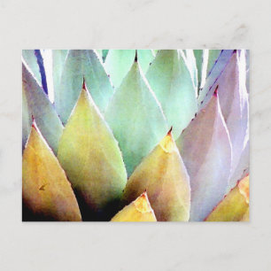 Postal Planta Nº 1 del siglo