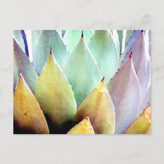 Postal Planta Nº 1 del siglo