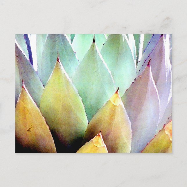 Postal Planta Nº 1 del siglo (Anverso)