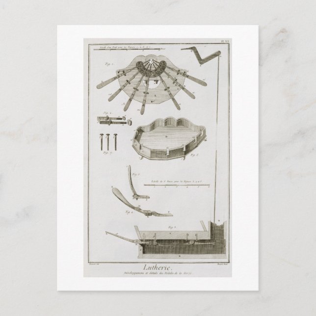 Postal Planta XX: La difusión y el funcionamiento de los  (Anverso)