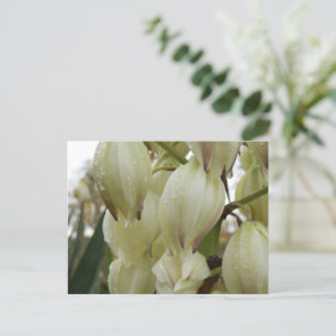 Postal Planta Yucca