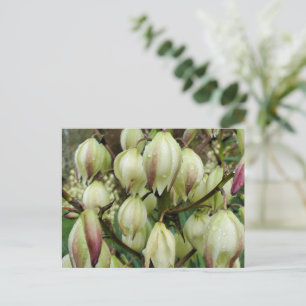Postal Planta Yucca