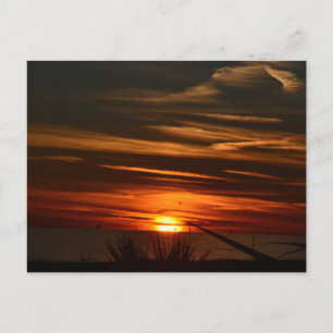 Postal Plantación de las costas del Golfo