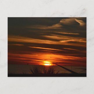 Postal Plantación de las costas del Golfo