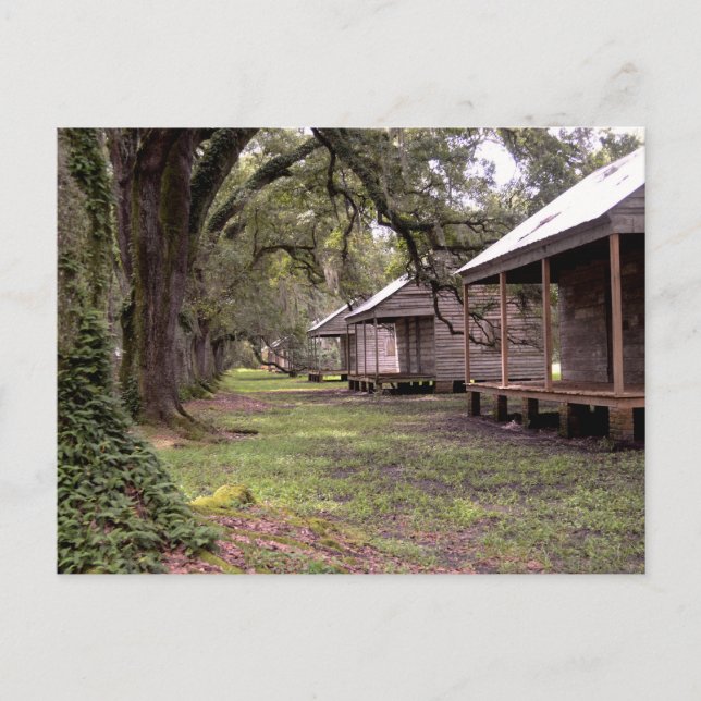 Postal Plantación de Luisiana (Anverso)