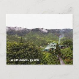 Postal plantación de té Cameron Highlands, Malasia