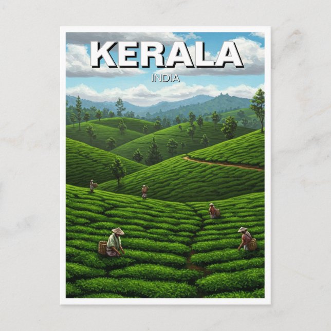 Postal Plantación de té de Kerala India (Anverso)