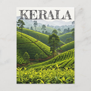 Postal Plantación de té en Kerala, India