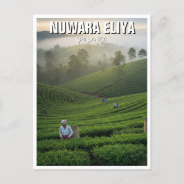 Postal Plantación de té Nuwara Eliya Sri Lanka