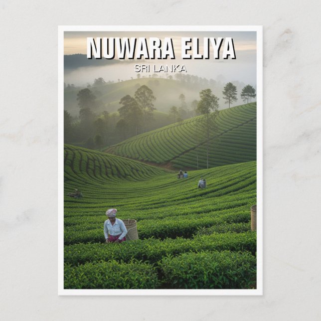 Postal Plantación de té Nuwara Eliya Sri Lanka (Anverso)