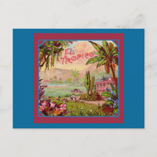 Postal Plantación tropical vintage