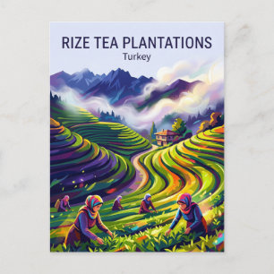 Postal Plantaciones de Té Rize Turquía
