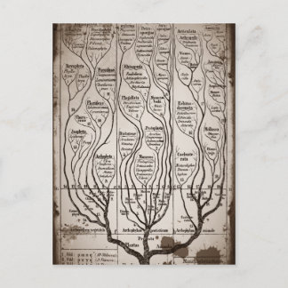 Postal Plantae Protista Animalia
