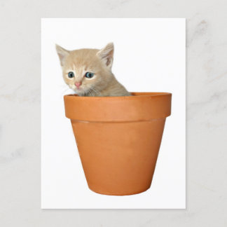 Postal Plantar algo de amor