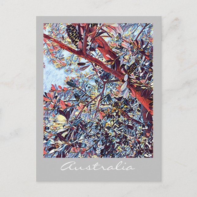 Postal Plantas autóctonas de Banksia (Anverso)