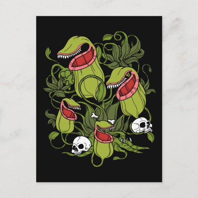 Postal Plantas carnívoras del cántaro del norte (Anverso)