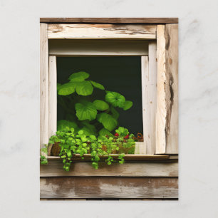 Postal Plantas de bonito en una ventana rústica con mader