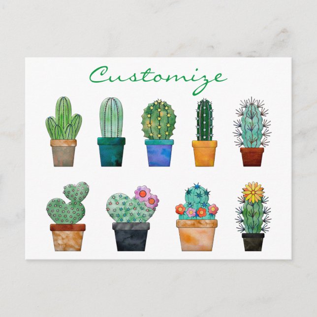 Postal Plantas de cactus variadas Thunder_Cove (Anverso)