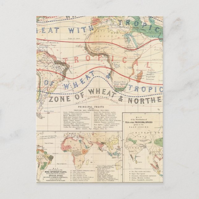 Postal Plantas de distribución (Anverso)