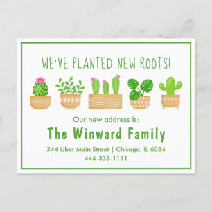 Postal Plantas de la Casa Cactus White New Home Postcard