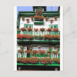 Postal Plantas de maceta con flores rojas que pintan el b