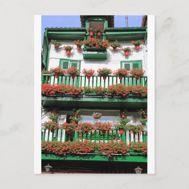 Postal Plantas de maceta con flores rojas que pintan el b (Anverso)