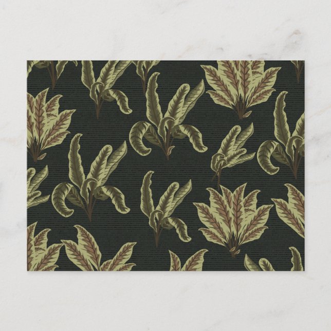 Postal Plantas de maceta vintage (Anverso)