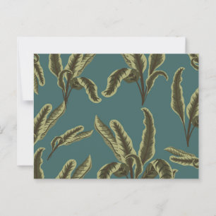 Postal Plantas de maceta vintage