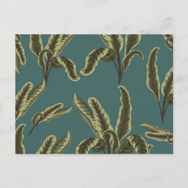 Postal Plantas de maceta vintage (Anverso)