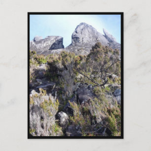 Postal plantas de mt kinabalu