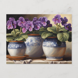 Postal Plantas de Violeta Africana Púrpura en las Macetas