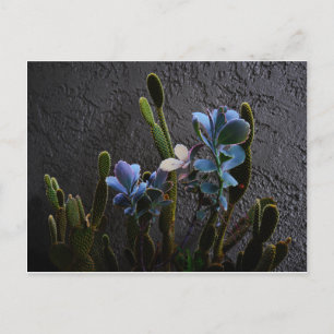 Postal Plantas del desierto
