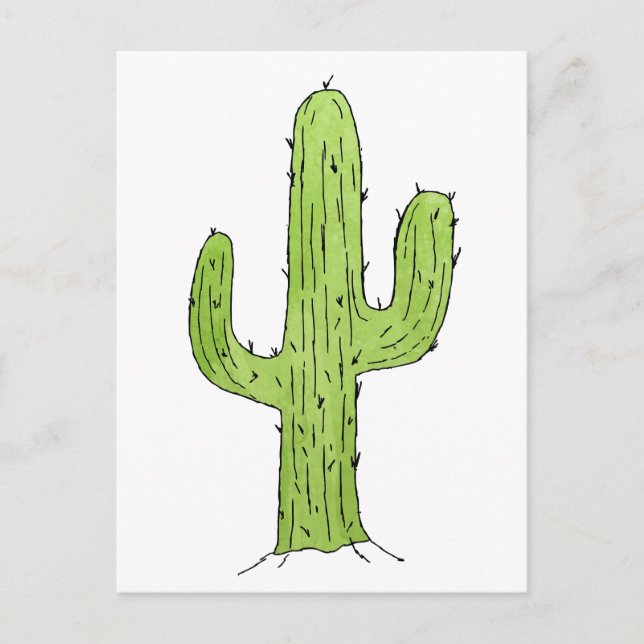 Postal Plantas del desierto de Cactus del desierto Diseño (Anverso)