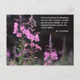 Postal Plantas del Fireweed - cita de los cummings de EE